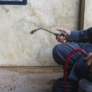 Preparing Your Office for Winter Pests