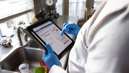 What Toledo Residents Should Know About Professional vs. DIY Rodent Control