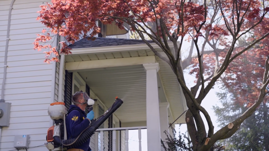 Effective Backyard Mosquito Prevention Tips