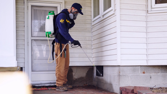 How to Prepare for a Pest Control Visit