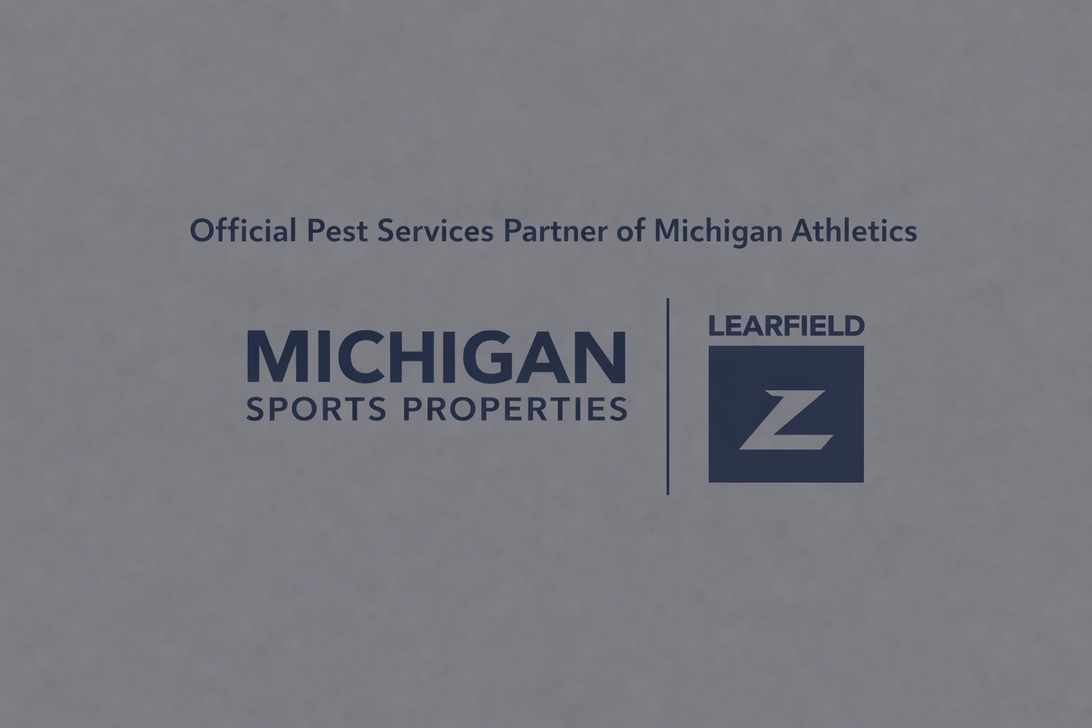 Michigan Sports Properties