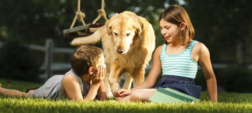 dog and kids on grass